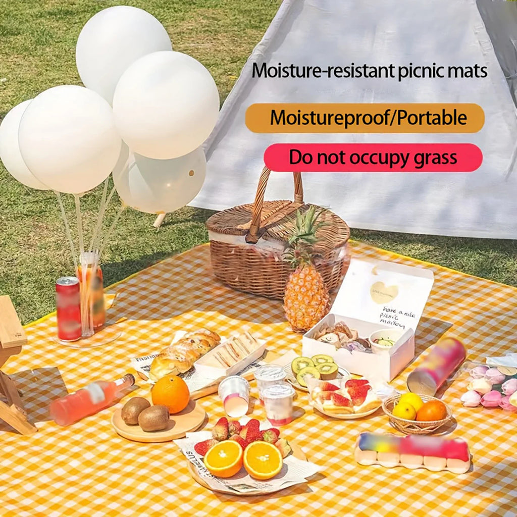 Disposable picnic mat